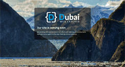 Desktop Screenshot of dubaiwebexperts.com